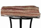 Arizona Petrified Wood Table With Metal Base #214471-9